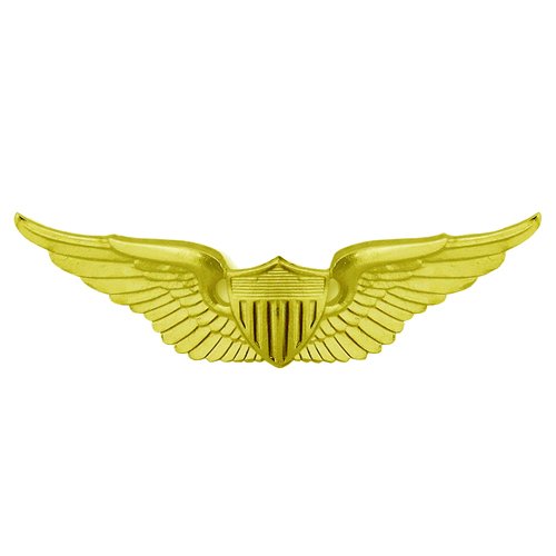 Basic Aviator Army Wing Patch - Gold