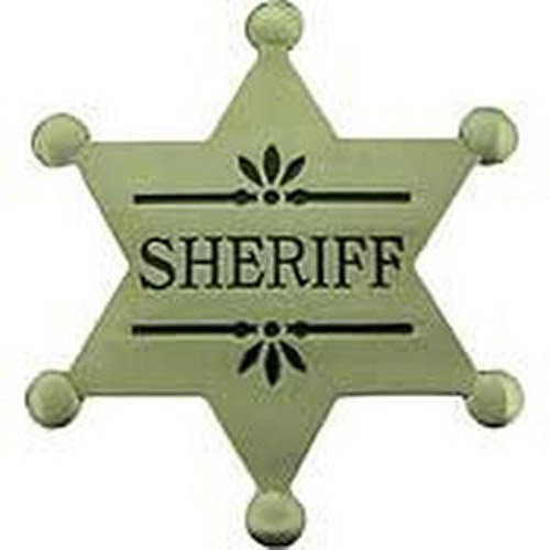 Eagle Emblems 2.1/2 Inch BDG PWT Sheriff Pin
