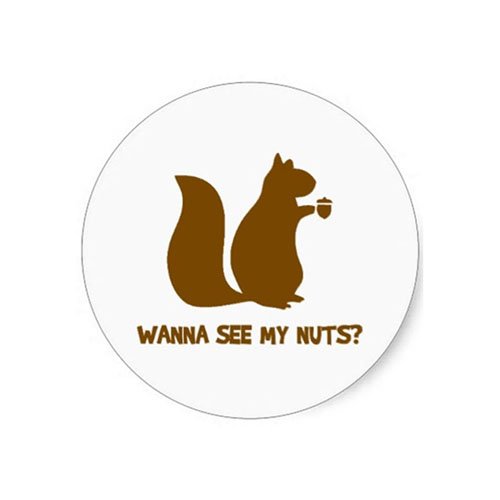Wanna See My Nuts Sticker