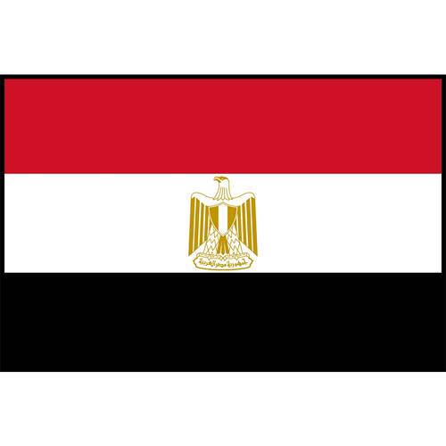Flag Printed Patch - Egypt