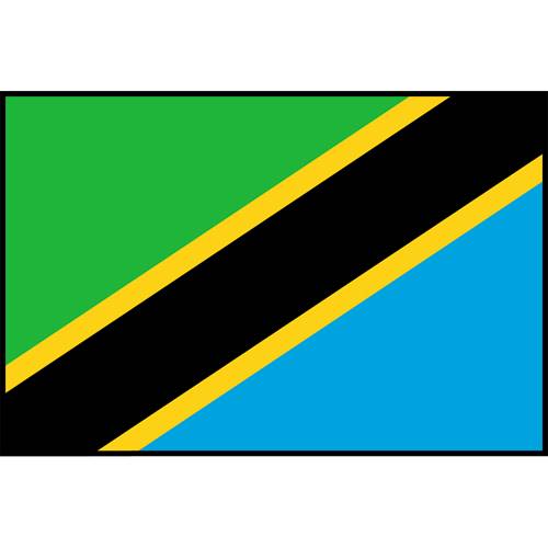 Flag Printed Patch - Tanzania