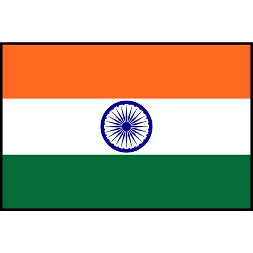 Flag Printed Patch - India