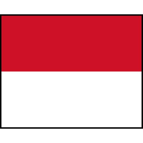 Flag Printed Patch - Monaco