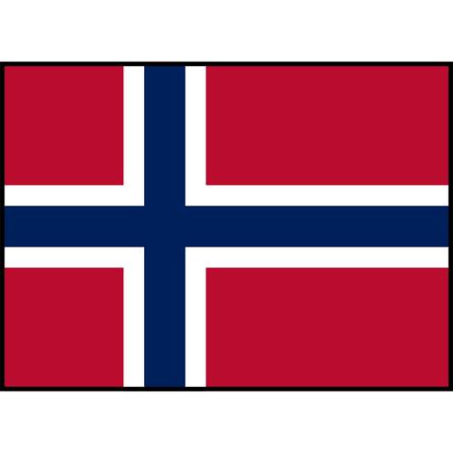 Flag Printed Patch - Norway