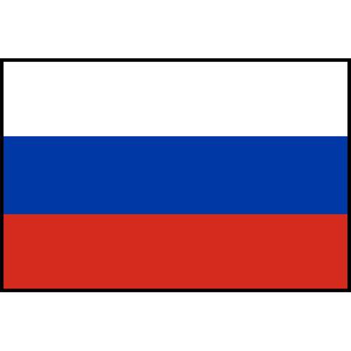 Flag Printed Patch - Russia
