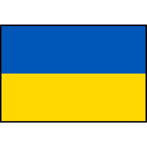 Flag Printed Patch - Ukraine