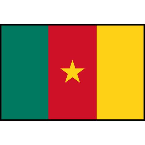 Flag Printed Patch - Cameroon