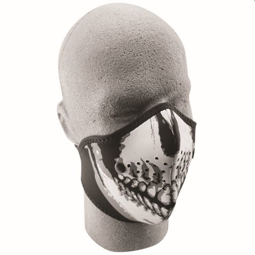Neo X Anti Fog Skull Half Face Mask