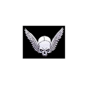 Patch Skull And Wings
