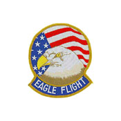 3 3/8 Inch USAF Eagle Flight Patch