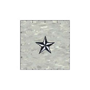 Star 3-D White And Black Patch