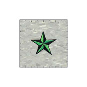 Star 3-D 2 Inches Green And Black Patch