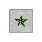 Star 3-D 2 Inches Neon Green And Black Patch