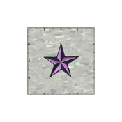 Star 3-D 2 Inches Neon Purple And Black Patch