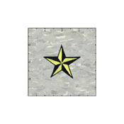 Star 3-D 2 Inches Neon Yellow And Black Patch