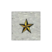 Star 3-D 2 Inches Yellow And Black Patch
