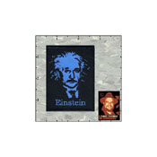 Dave Cherrys Einstein Patch