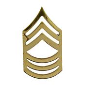 Rank Army E8 Mast SGT