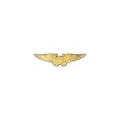 Wing USN Flight Off Gold