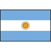 Flag Printed Patch - Argentina