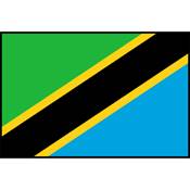 Flag Printed Patch - Tanzania