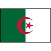 Flag Printed Patch - Algeria