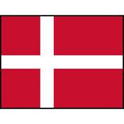 Flag Printed Patch - Denmark