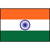Flag Printed Patch - India