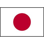Flag Printed Patch - Japan