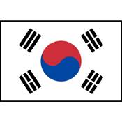 Flag Printed Patch - South Korea