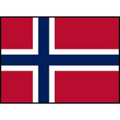 Flag Printed Patch - Norway