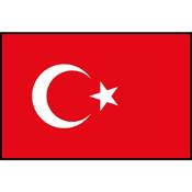 Flag Printed Patch - Turkey