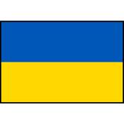 Flag Printed Patch - Ukraine