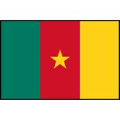 Flag Printed Patch - Cameroon