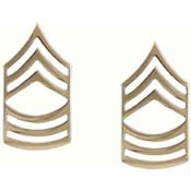 Master Sergeant Polished Insignia