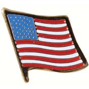 U.S. Flag Pin