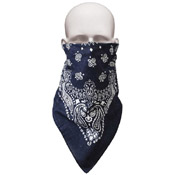 Trainman Bandana Mask